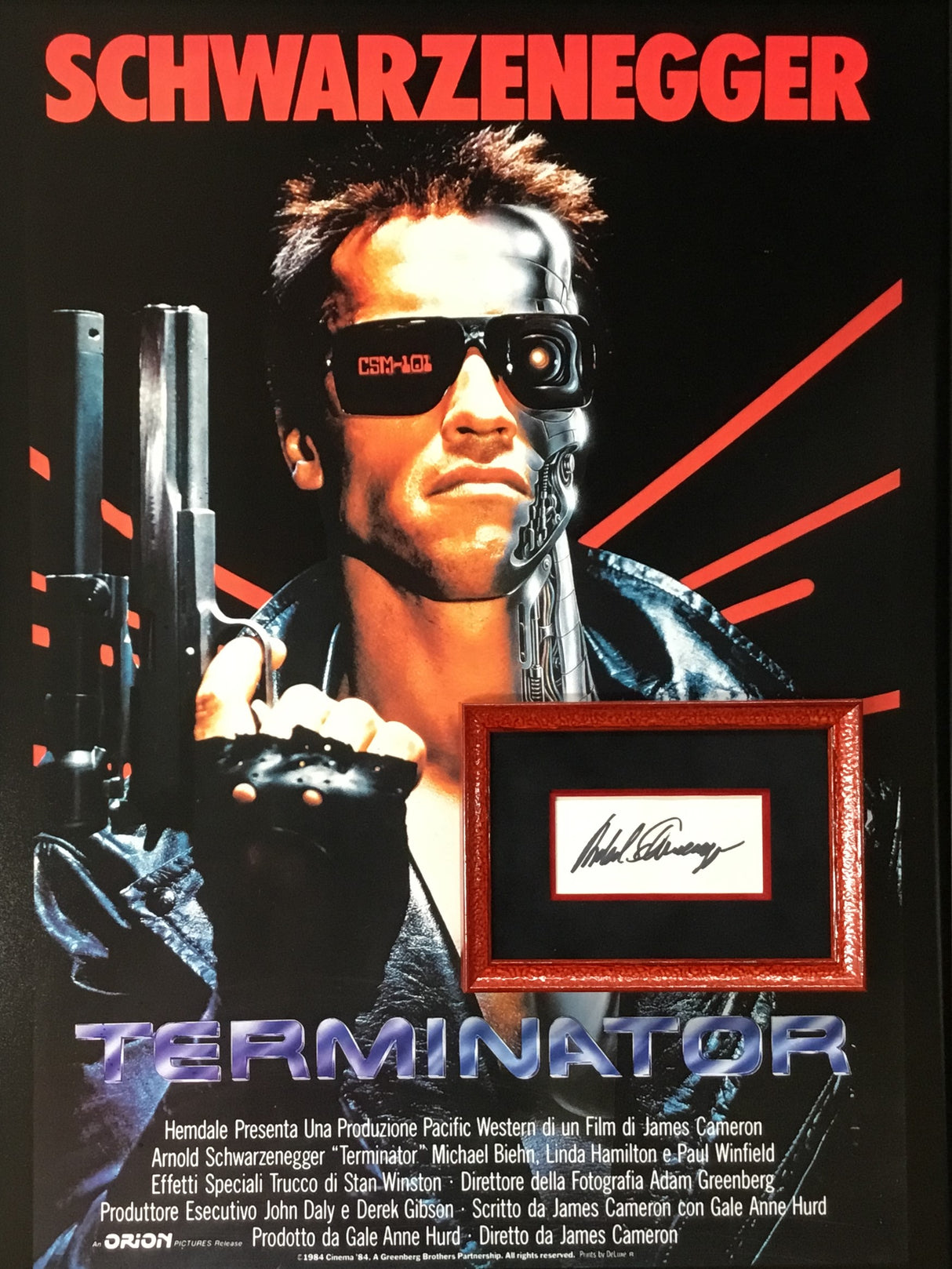 Arnold Schwarzenegger signed cut