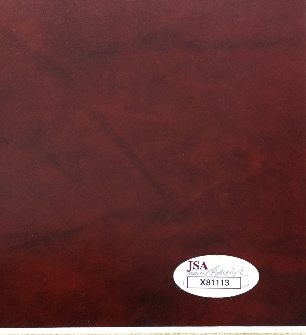 Eddie Van Halen signed photo