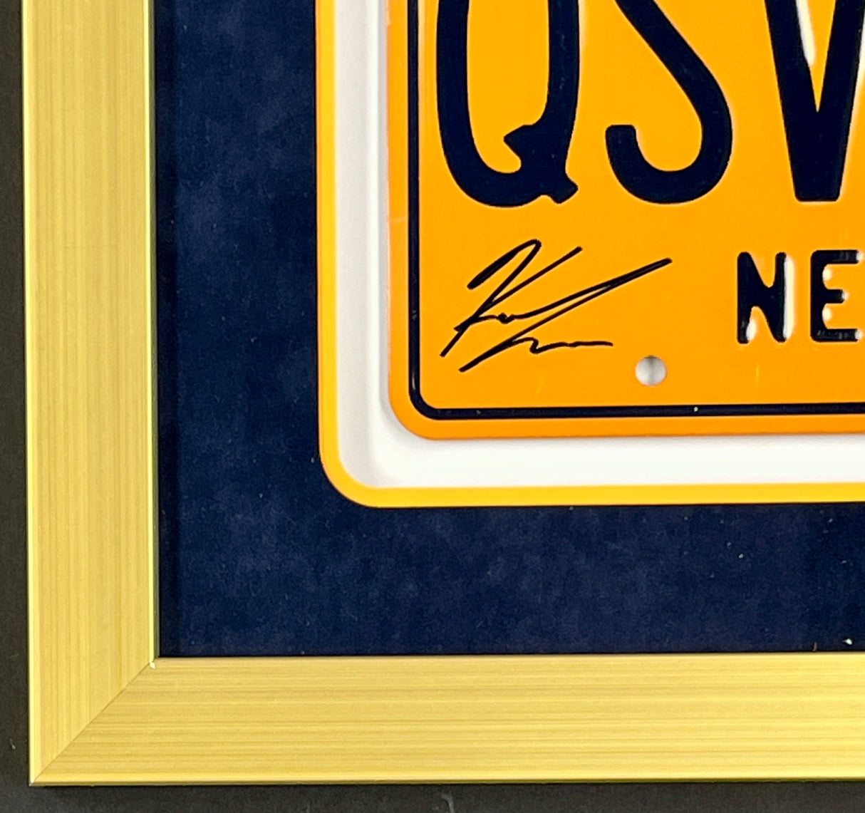 Entourage Cast signed License Plate