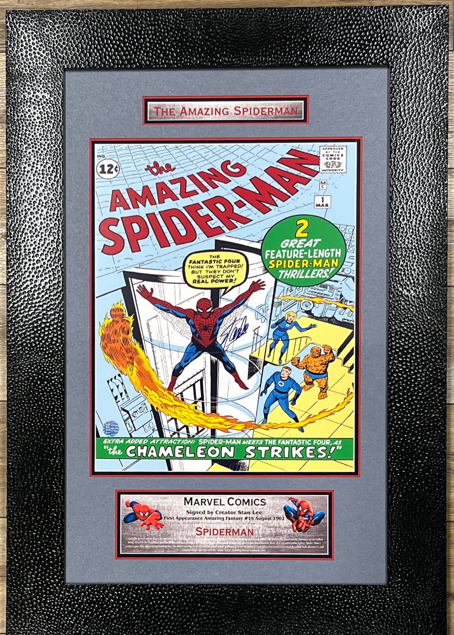 Stan Lee-Spiderman signed photo