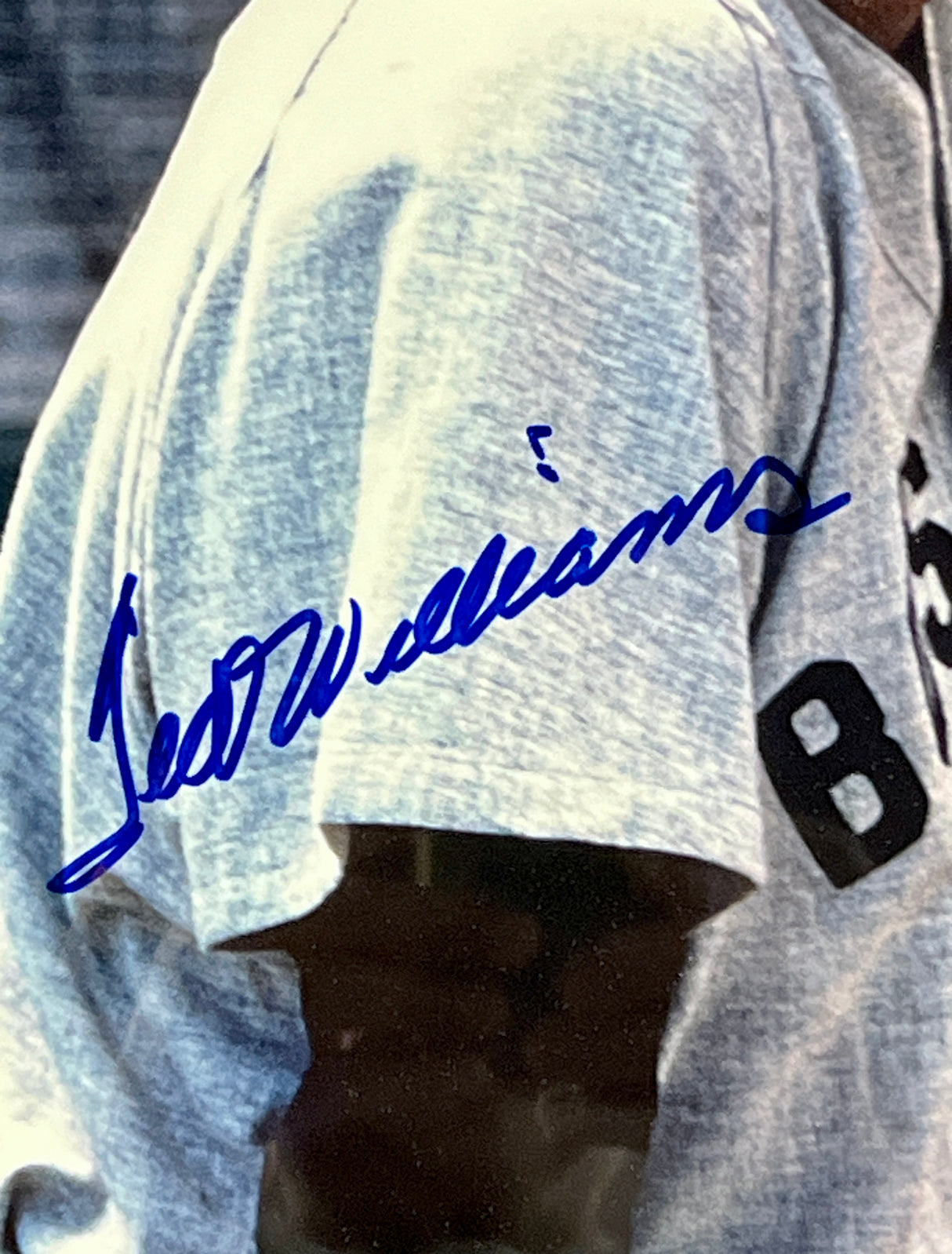 Ted Williams-Red Sox signed 16x20 Photo