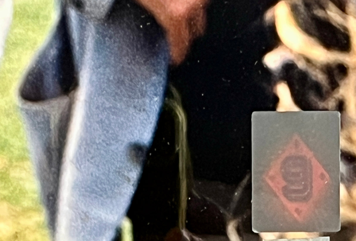 Ted Williams-Red Sox signed 16x20 Photo