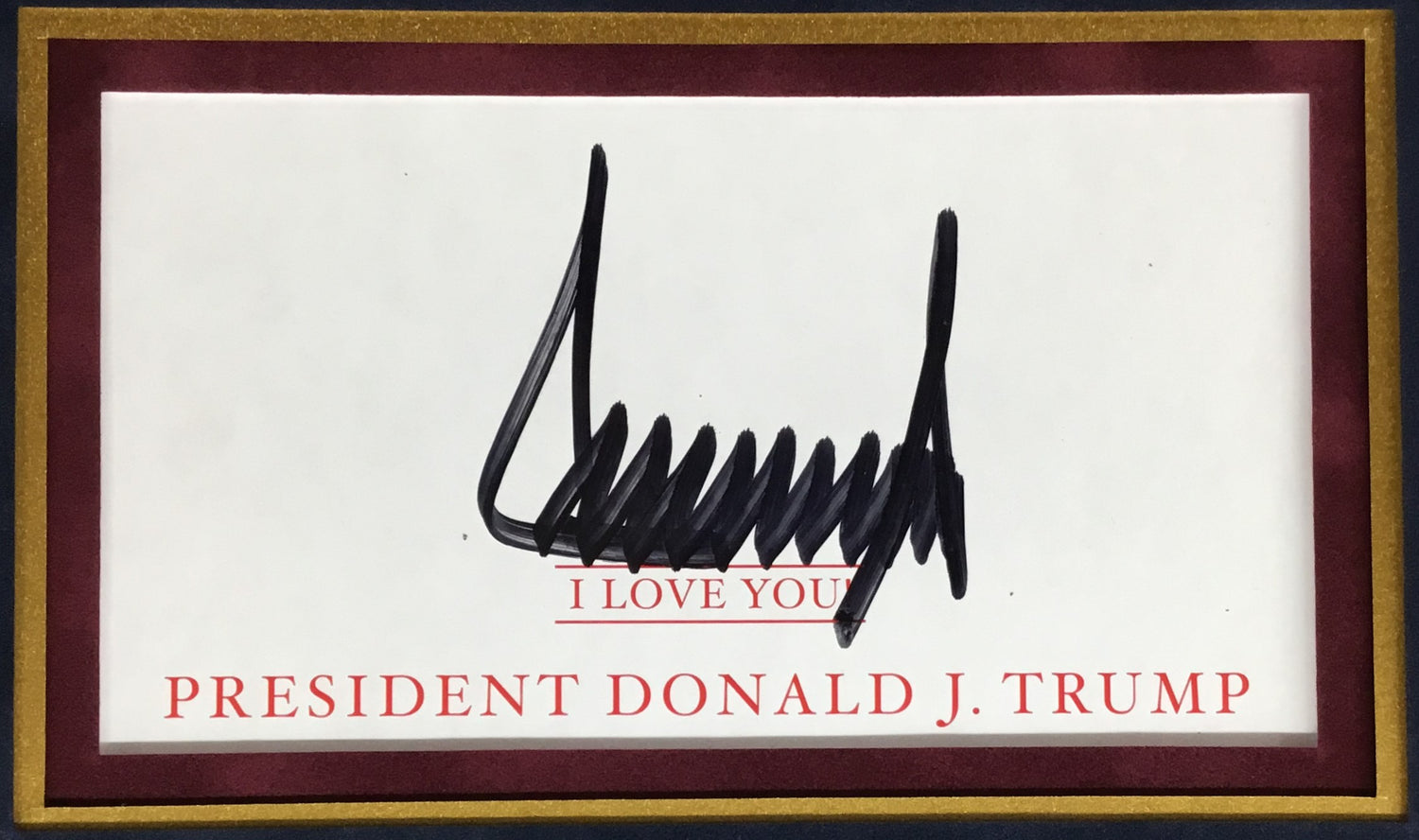 Donald J Trump signed cut signed display