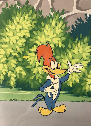 1950's Woody Woodpecker Hand Painted Cel Walter Lantz