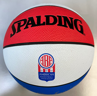 Julius " Dr J" Erving-Nets signed ABA basketball