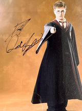 Daniel Radcliffe signed 11x14