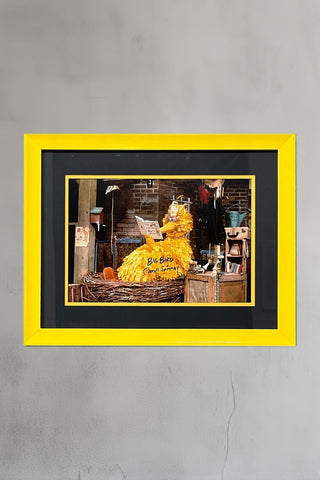 Carroll Spinney-Big Bird signed photo