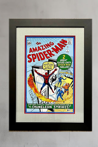 Stan Lee-Spiderman #1 signed photo