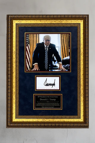 Donald J Trump signed cut signed display