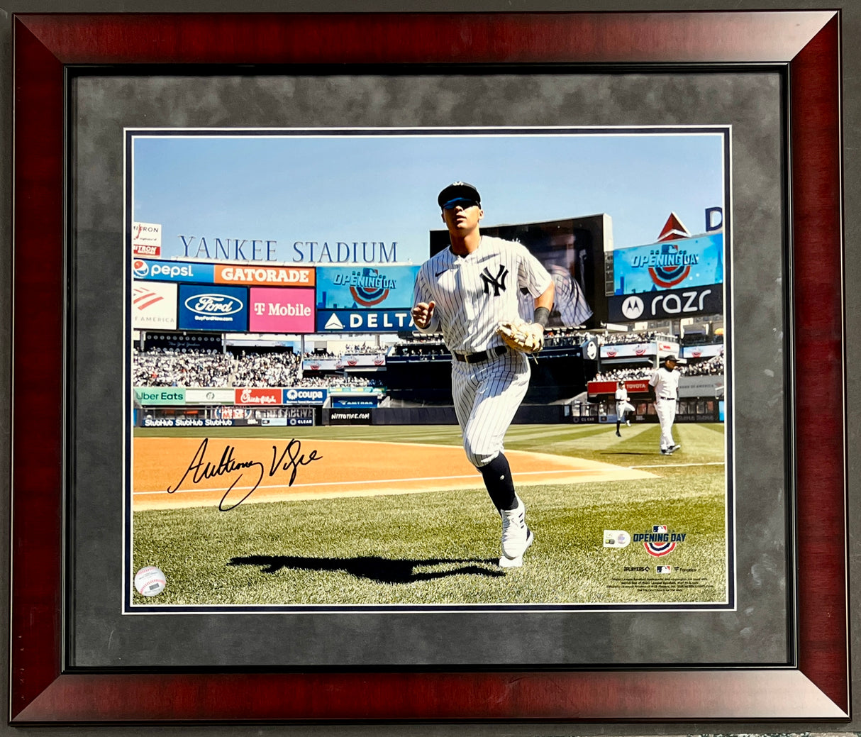 Anthony Volpe signed 16x20 photo