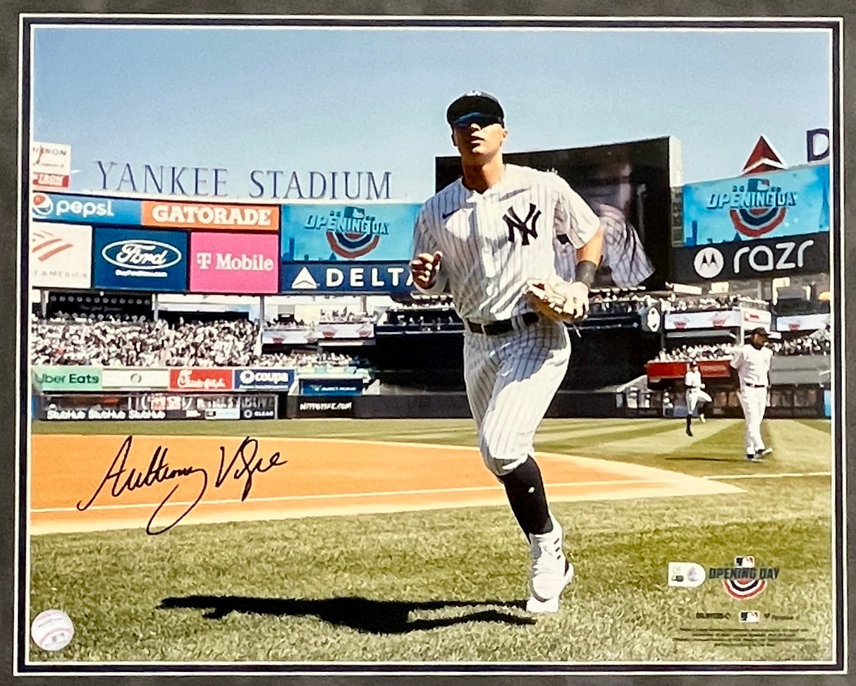 Anthony Volpe signed 16x20 photo
