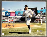 Anthony Volpe signed 16x20 photo