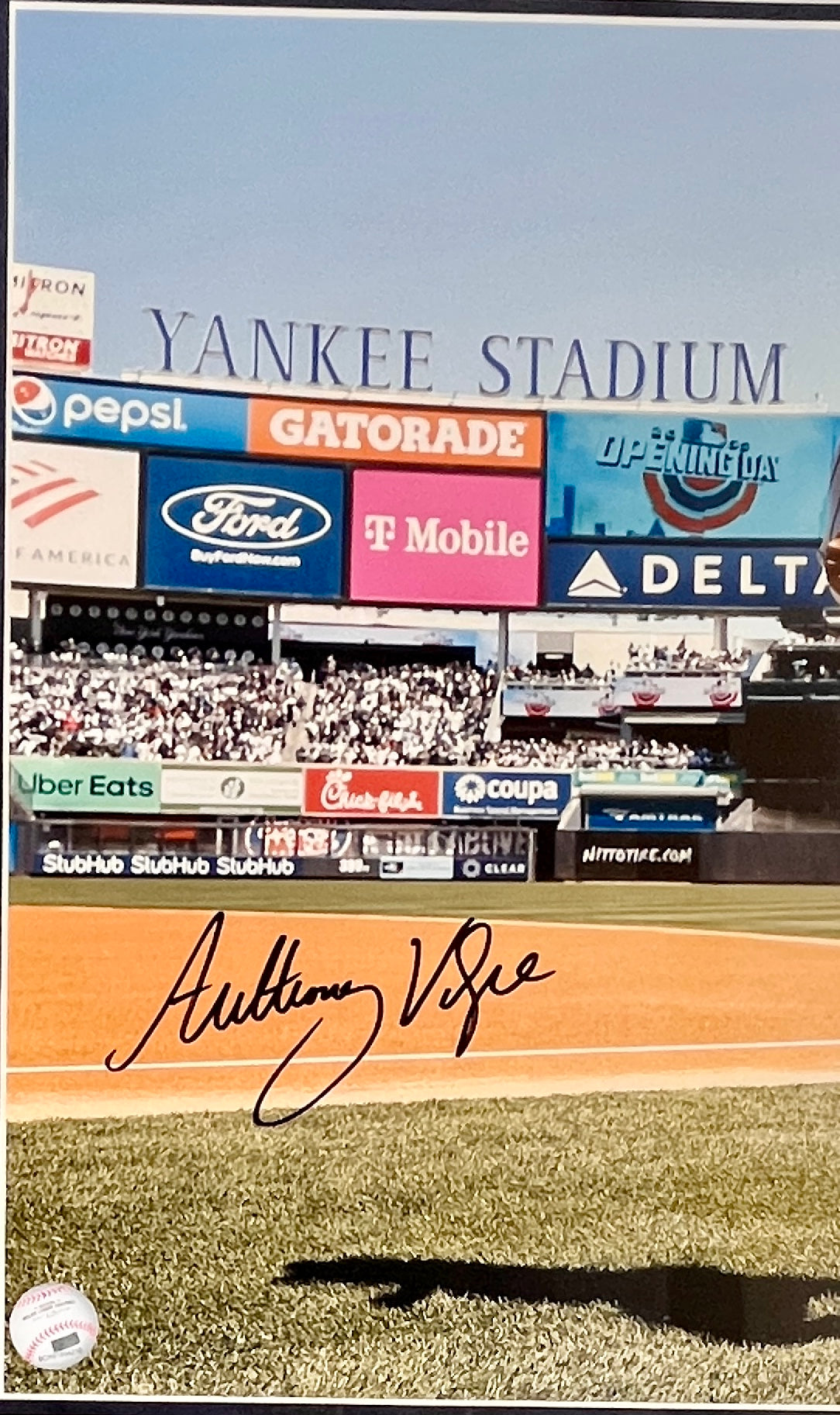 Anthony Volpe signed 16x20 photo