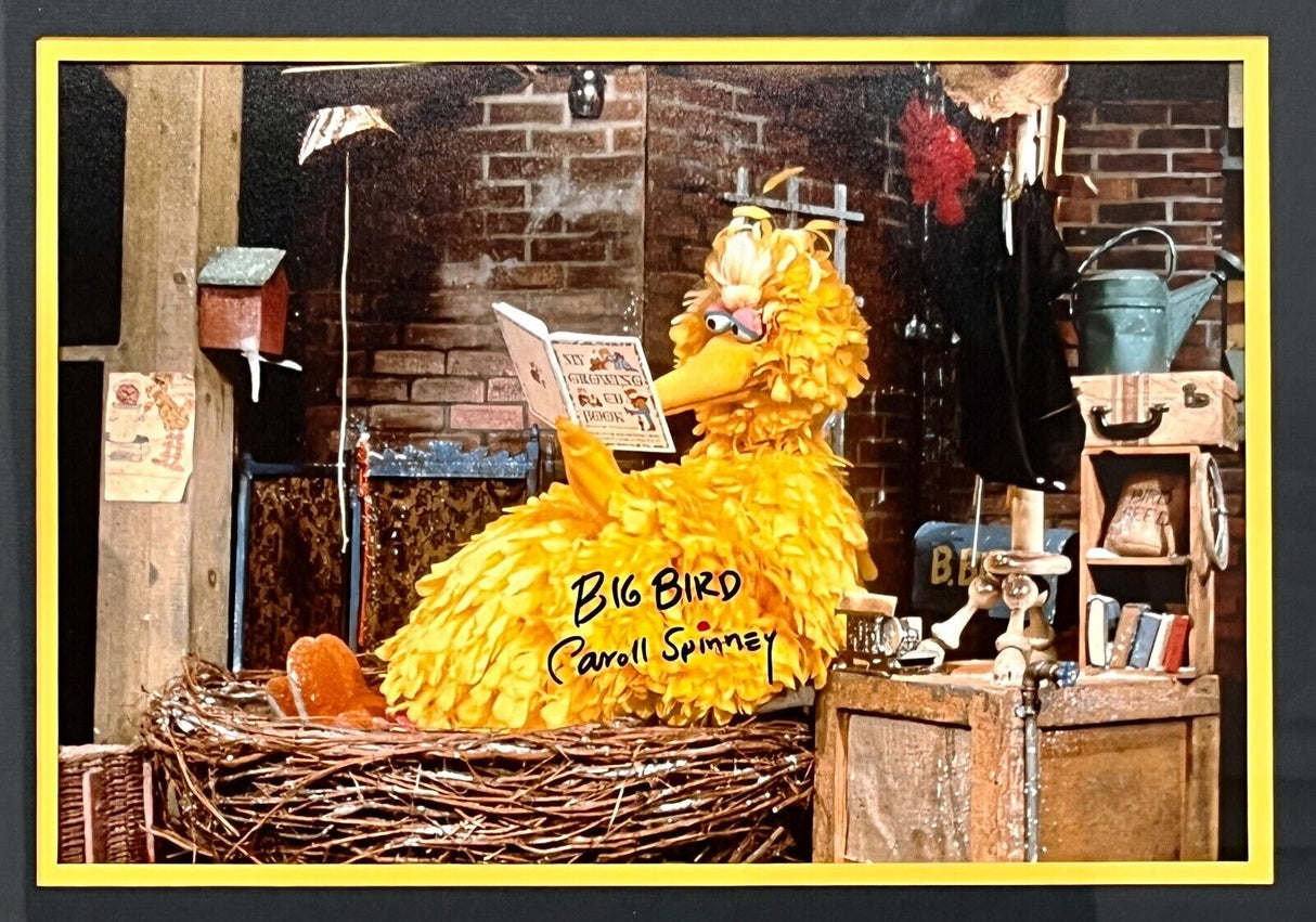Carroll Spinney-Big Bird signed photo